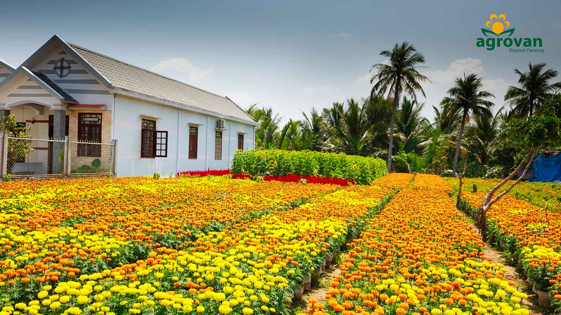 farm visit near mumbai